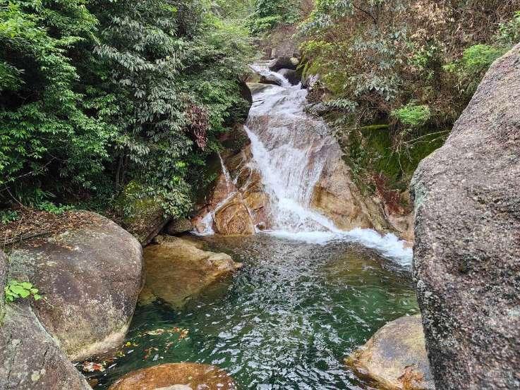 太豪了!刘南希晒四世同堂,住35w月子会所,婆婆送10w红包惹争议
